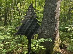 -五营红松林海景区