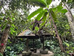 -中国科学院西双版纳热带植物园