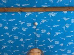 -大圣甲(汉口店)