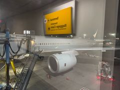 -约翰·菲茨杰拉德·肯尼迪国际机场