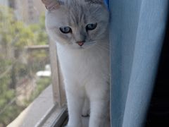 -六福烧烤酒馆(秦隆步行街店)