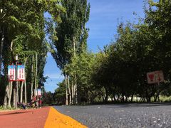 -大兴滨河森林公园