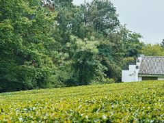 -敬亭山风景名胜区