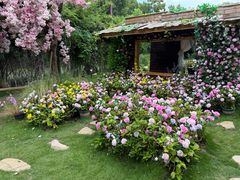 -HERRE·FARM 赫尔露营农场·团建聚会包场