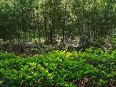 -杭州半山国家森林公园