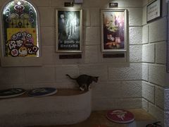 -逃脱反斗城沉浸剧情密室(北京路店)