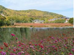 -上海佘山国家森林公园天马山园