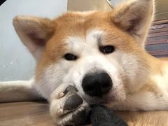 -YCHL Studios健身工作室(市二宫店)
