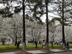 -同济大学(嘉定校区)