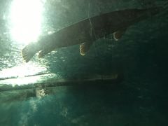 -苏州海洋馆