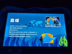 -海合安成都极地海洋公园