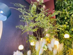 -花隐·美芙炫海菲秀皮肤管理中心