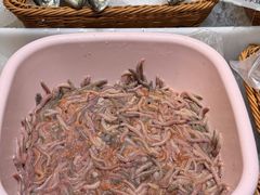 -兴仙饭店·闽味海鲜(马尾总店)
