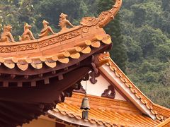 -深圳仙湖植物园