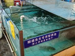 -寻味顺德·南记酒家·传统顺德菜·鱼生(广源路店)