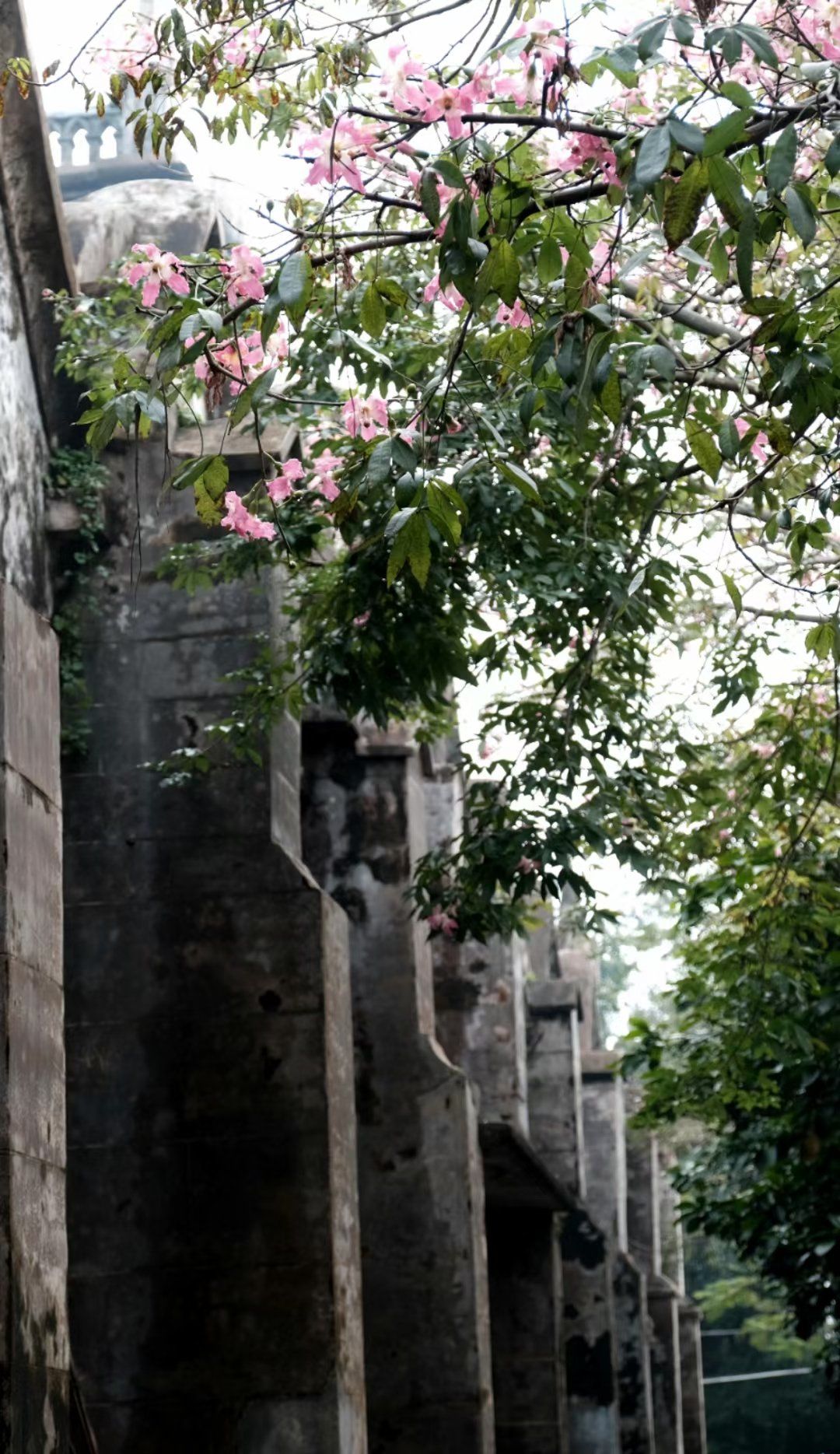 本地人果然没有骗我,上涠洲岛必吃榜海鸭凤黄酥!