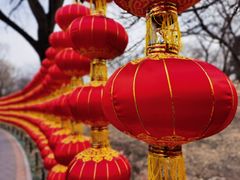 -国家植物园