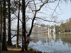 -东湖落雁景区