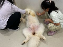 -共舞时光猫咖·狗咖(新街口店)