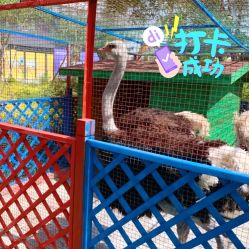 -萌宠亲子动物乐园(槐房万达店)