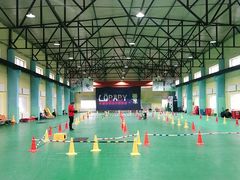 -长春乐奇平衡车儿童体能运动中心