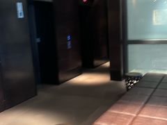-香港铜锣湾皇悦酒店