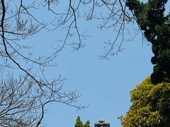 -青岛崂山太清宫