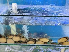 -东山壹号海鲜餐厅(金銮名都店)