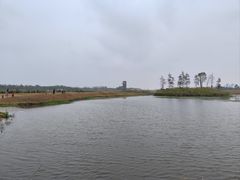 -春花秋色城市公园