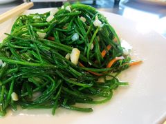 -一味无二绿食坊-日月潭餐厅