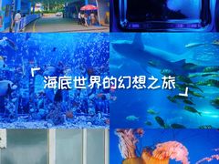 -太平洋海底世界