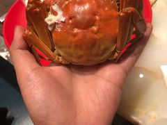 -长春富力万达文华酒店-集·味自助餐厅
