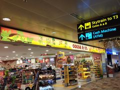 -樟宜机场免税店