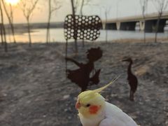 -绿堤公园