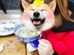 -老白家水盆羊肉