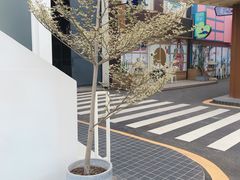 -霏梵印象公园摄影基地