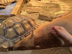 -Zoolung Zoolung动物主题公园(海信广场店)