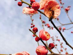 -蜀冈西峰生态公园