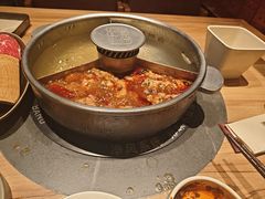 -巴奴毛肚火锅(龙湖锦艺城店)