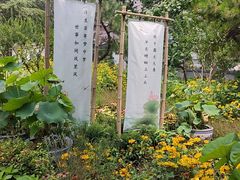 -莲花池公园