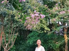 -杭州城北体育公园