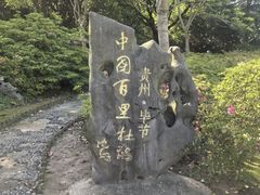-上海滨江森林公园