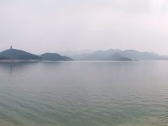 -望湖烤鱼