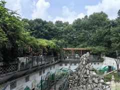 -成都动物园