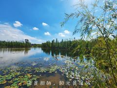 -白鹭湾湿地公园