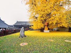 -海底捞火锅(顺义华联店)