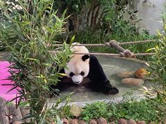 -黔灵山公园