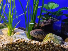 -上海海洋水族馆