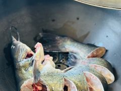 -北京龙庆四季香农家饭庄·灶台鱼·碳烤虹鳟鱼(龙庆峡店)