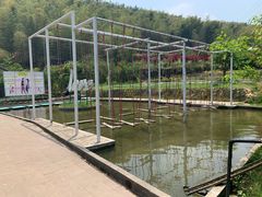 -宁波浙东大竹海景区